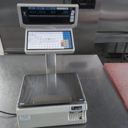 system scale Digi